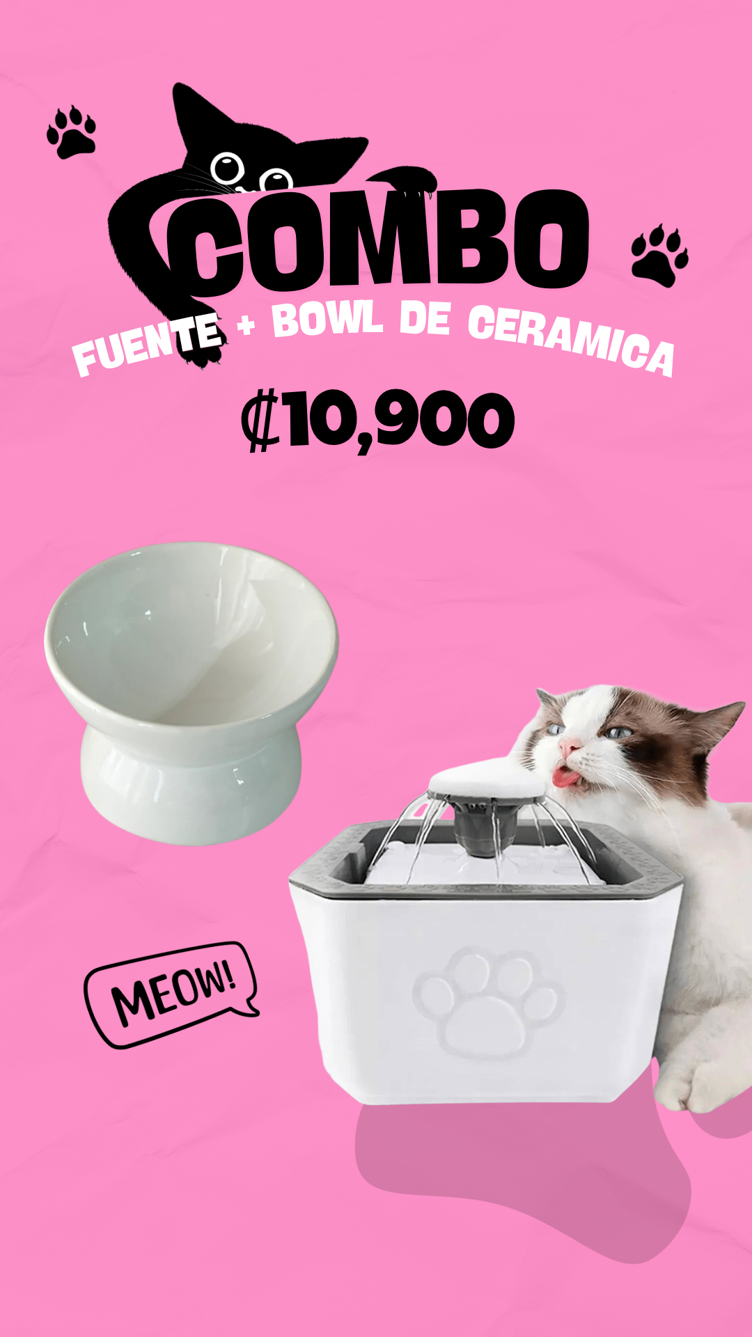 Combo Bowl de cerámica y fuente