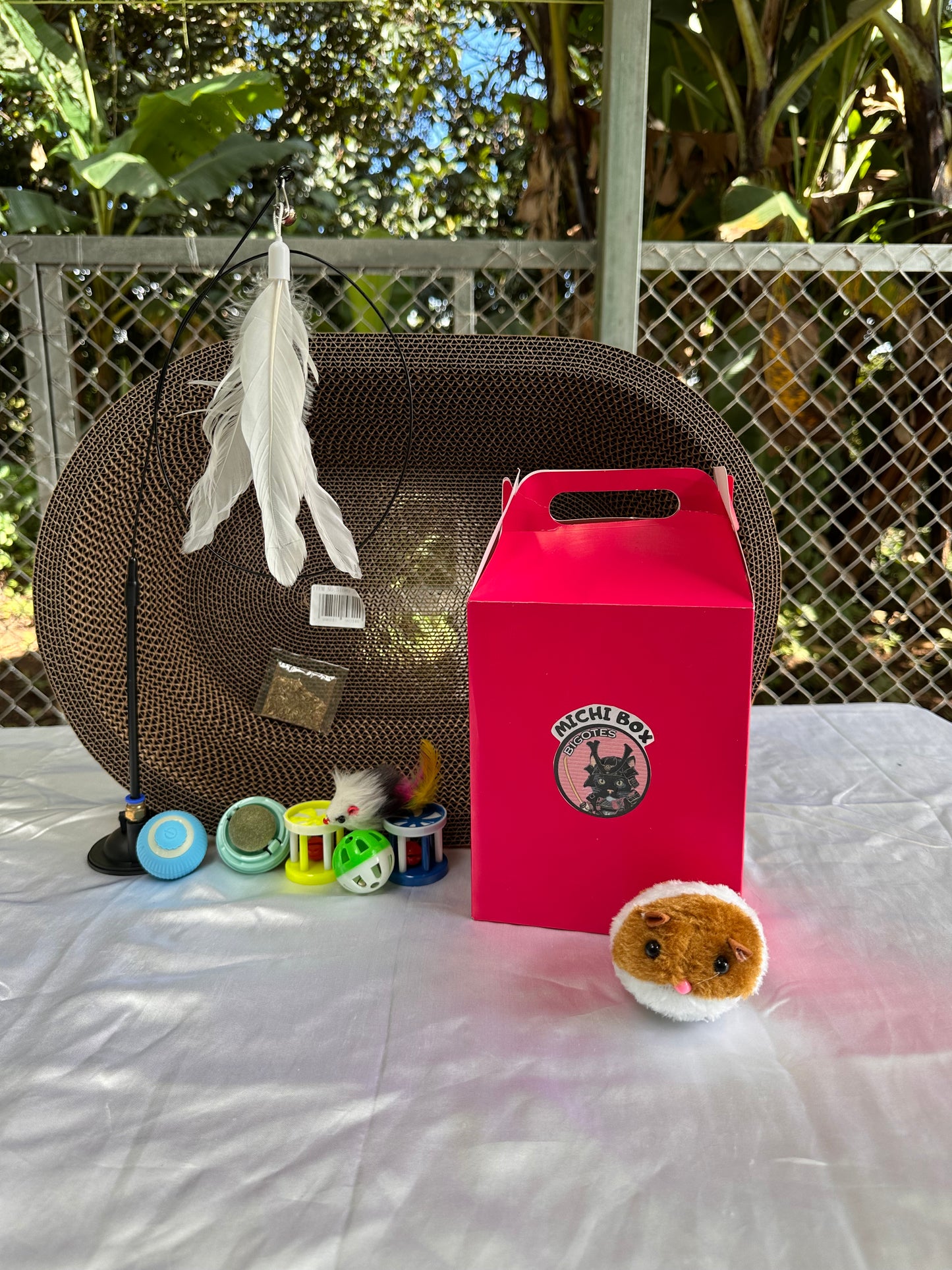 Michi Box y rascador