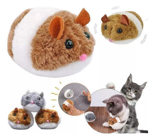 Combo día del gato