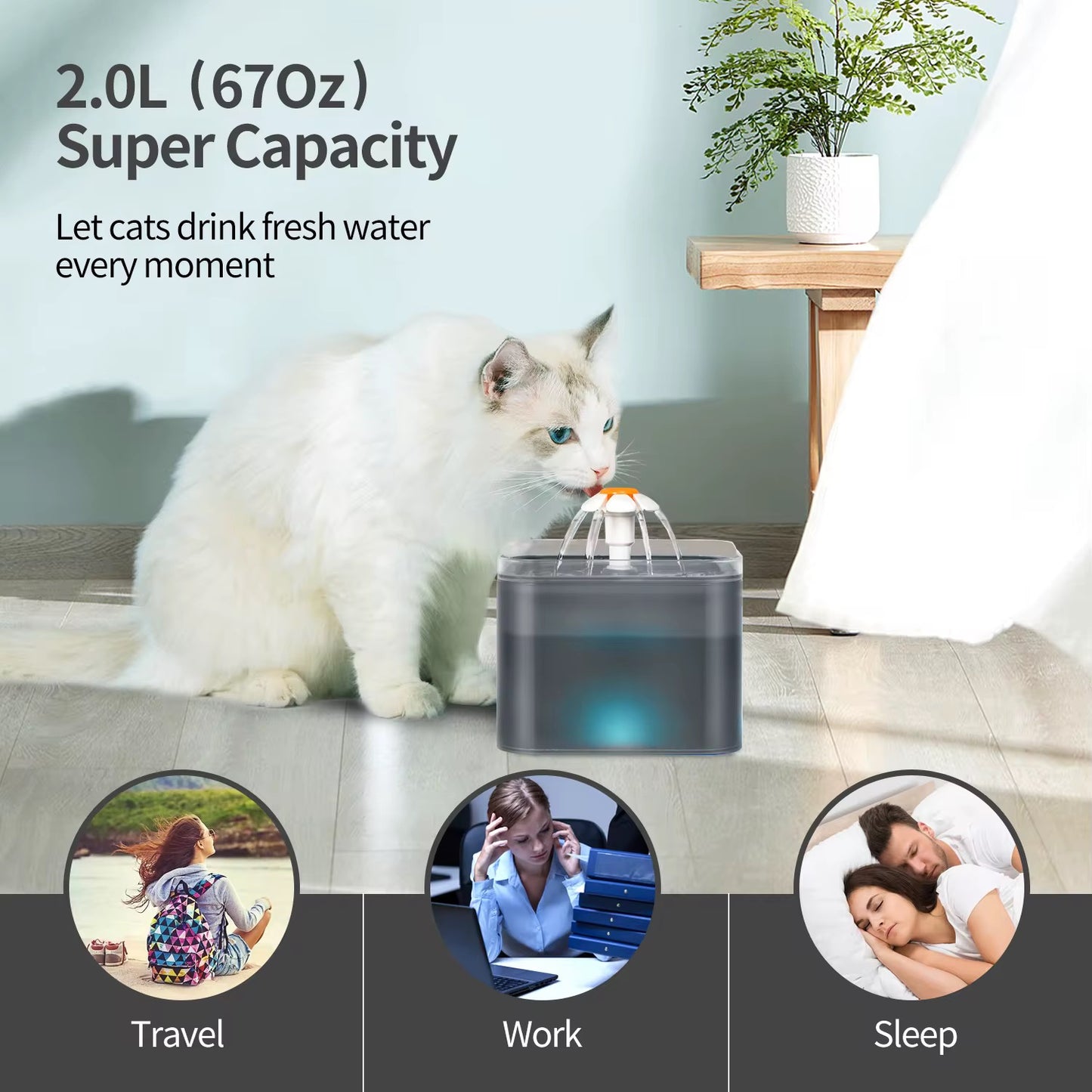 Fuente para mascota2.0L