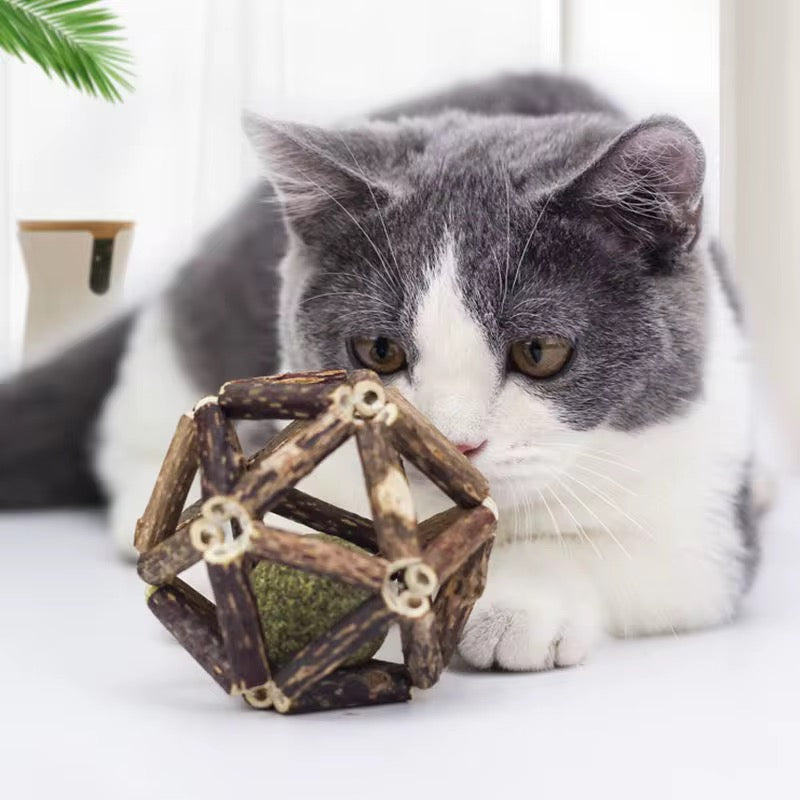 Bolita para masticar con catnip