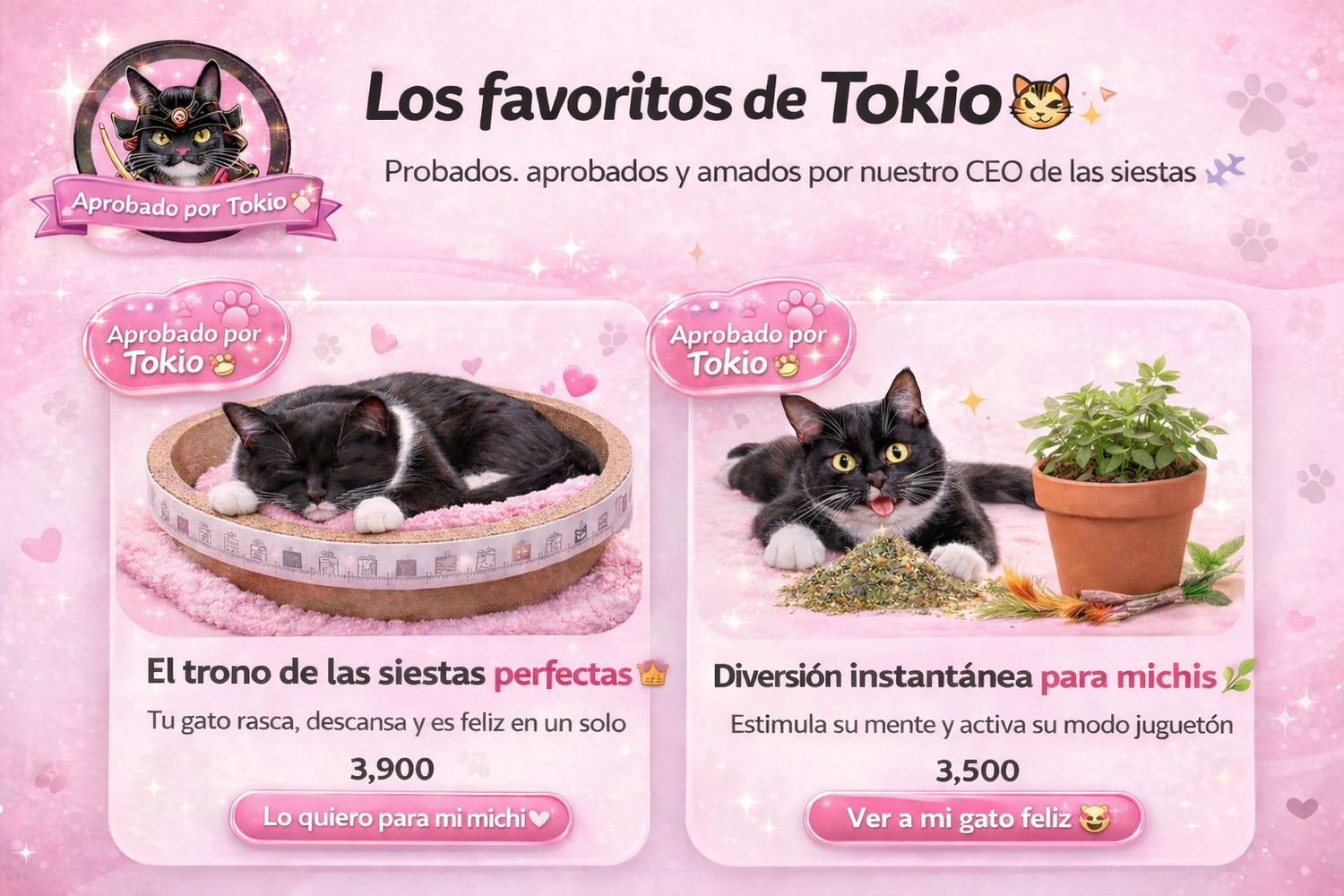 Los favoritos de Tokio 😼