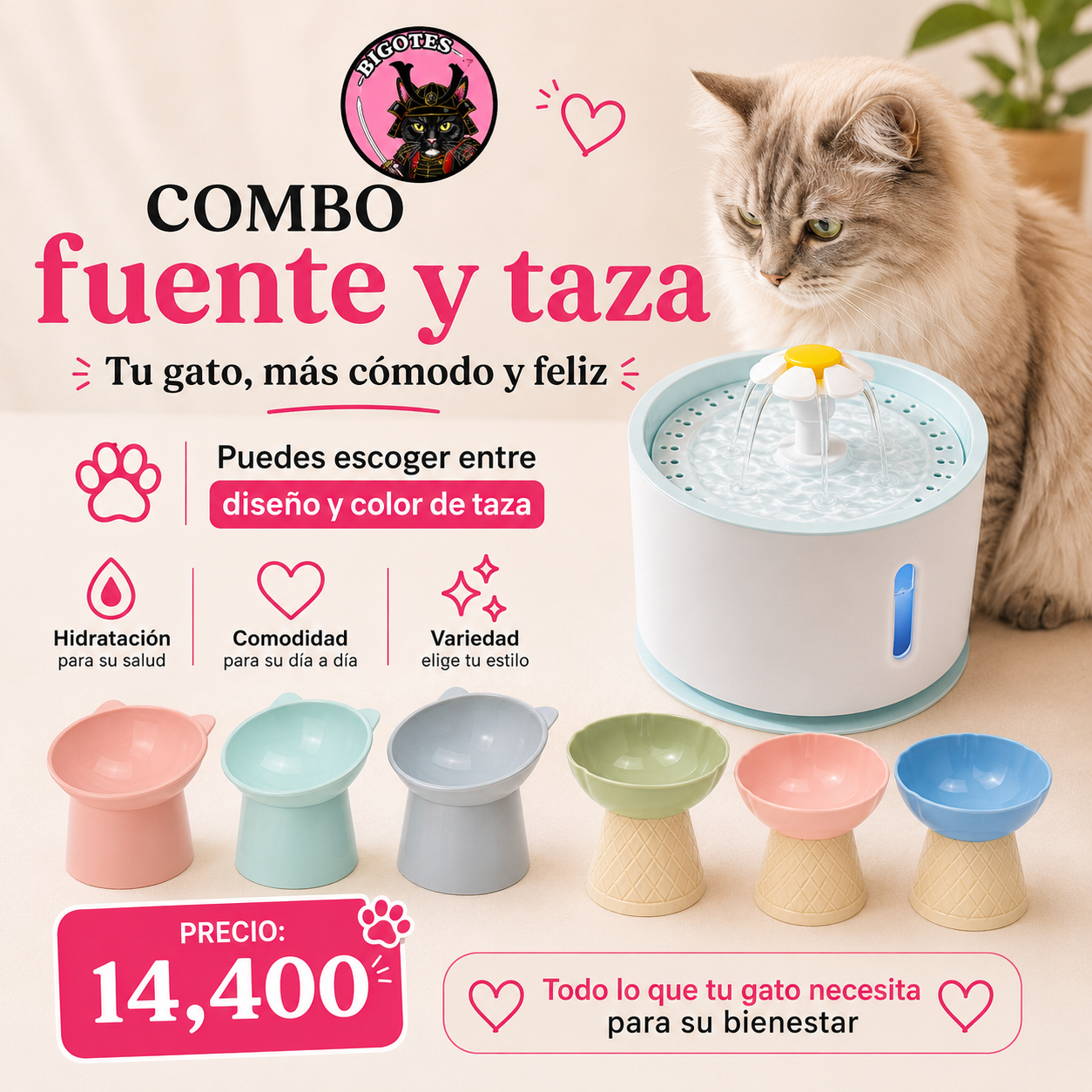 Combo fuente y taza