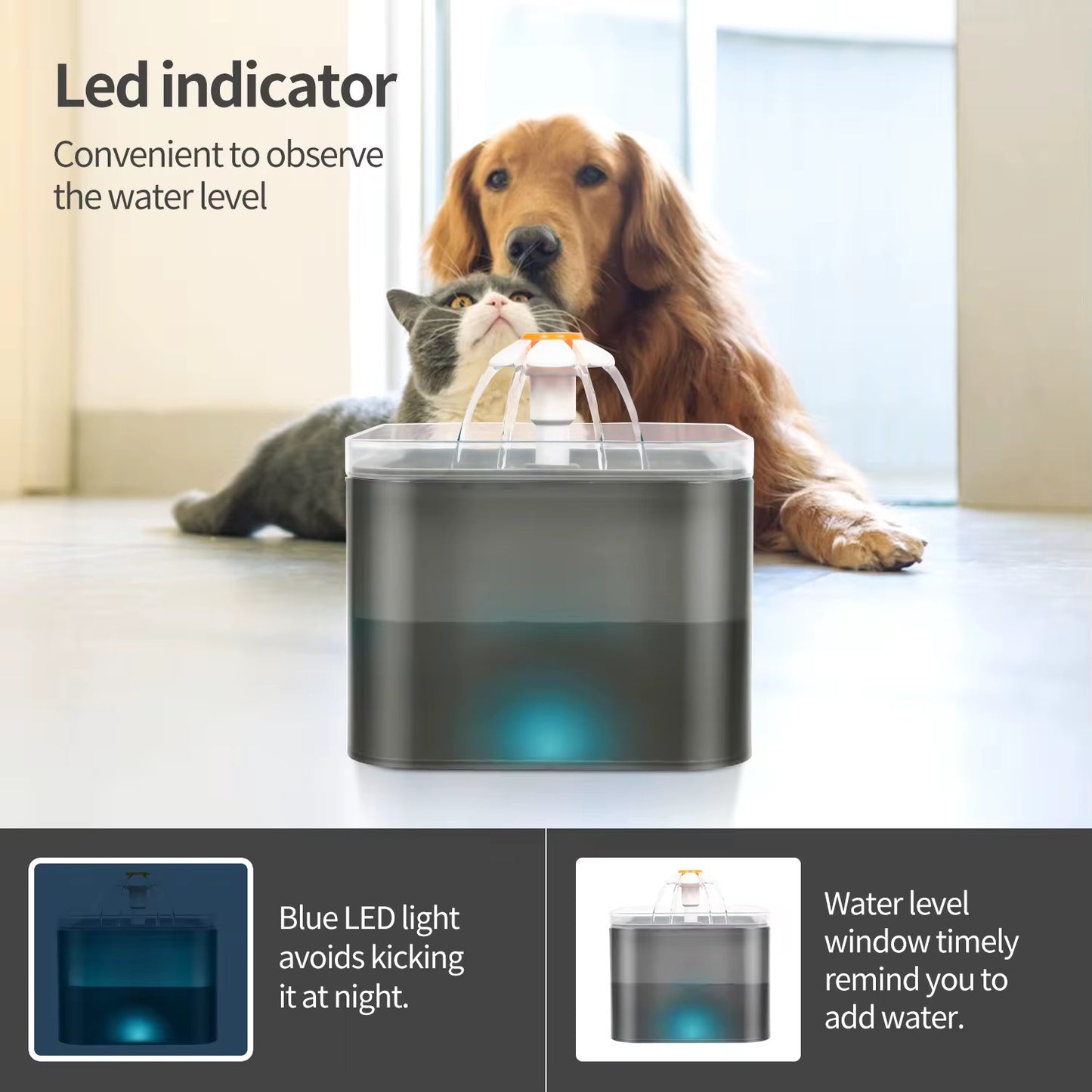 Fuente para mascota2.0L