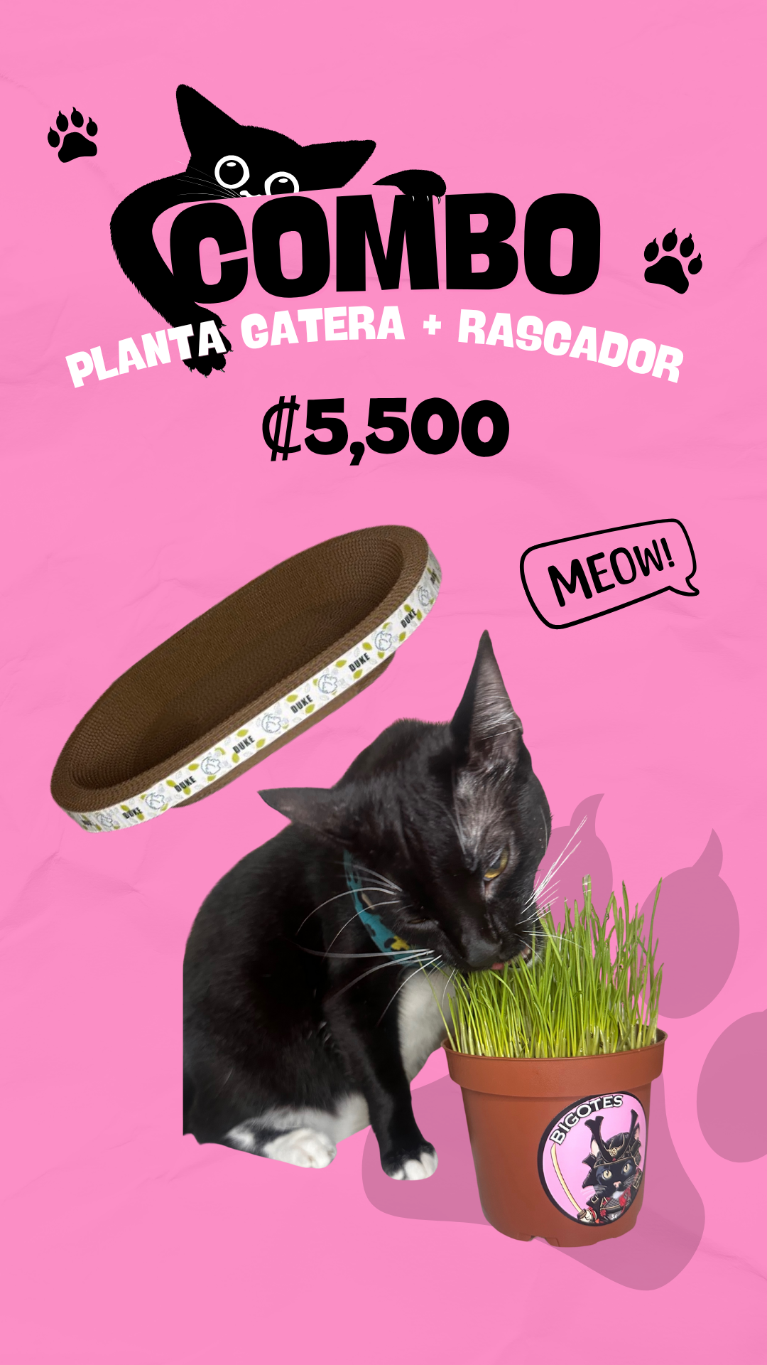 Combo Rascador y planta gatera
