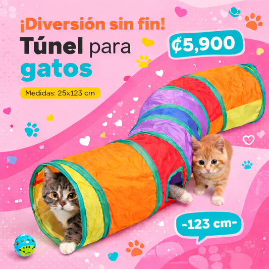 Túnel para gato
