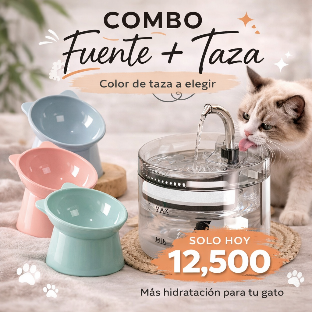Combo fuente + taza elevada 3