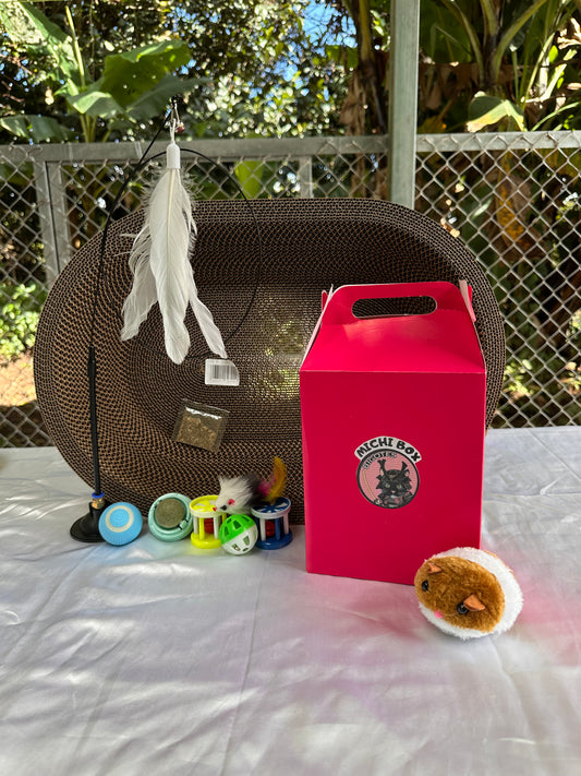 Michi Box y rascador