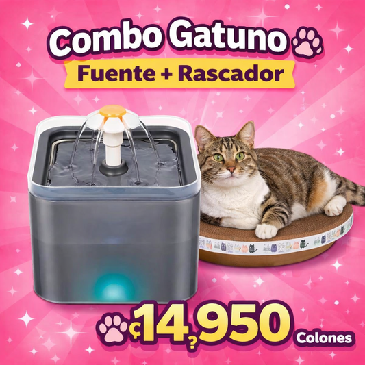 Fuente Flor + rascador