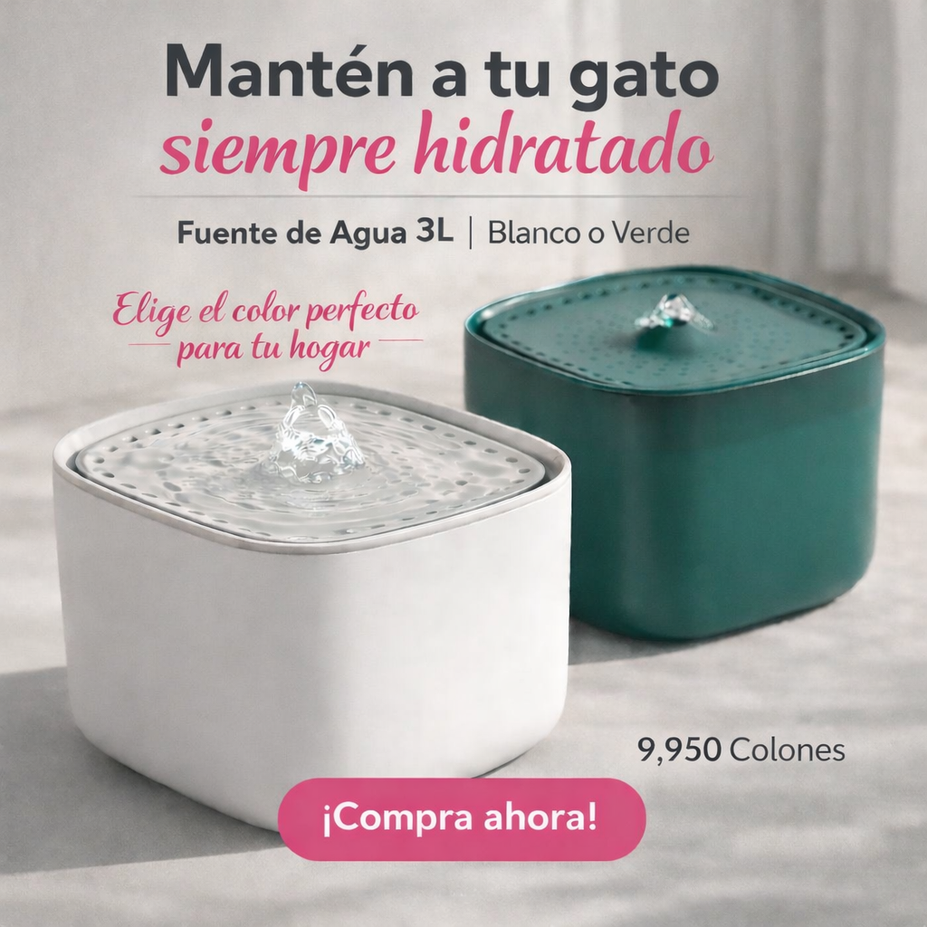 Fuente para gato