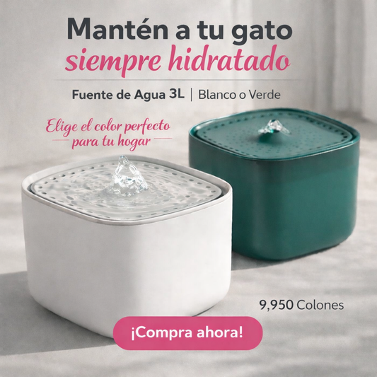 Fuente para gato
