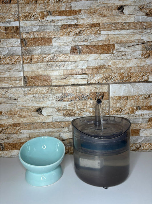 Bowl y fuente transparente