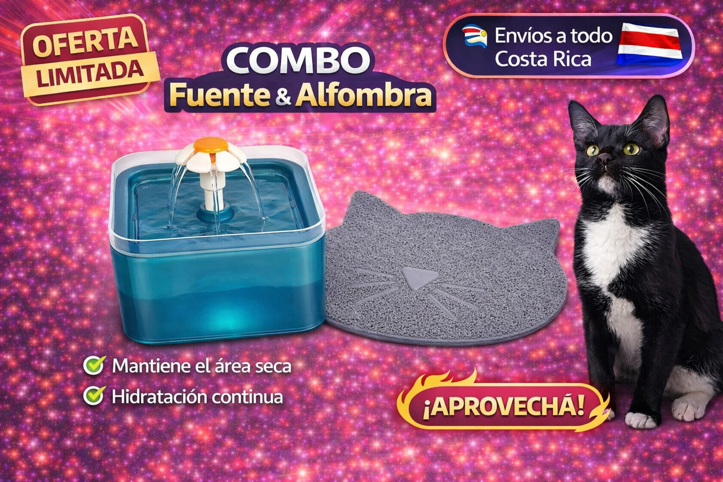 Combo fuente y alfombra