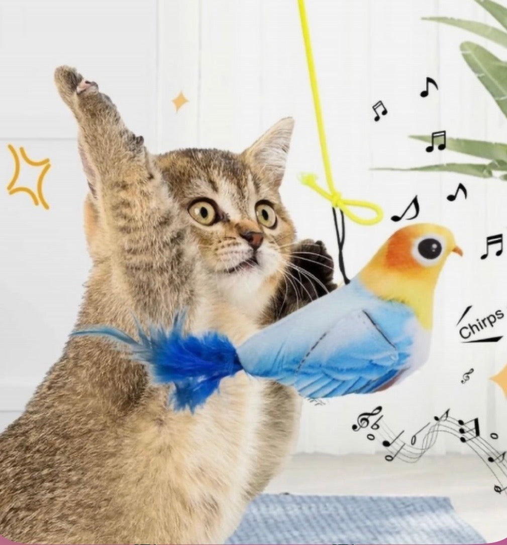 Juegue pájaro con sonido