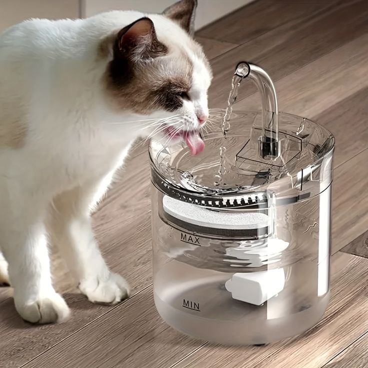 Fuente Transparente (1.8L)