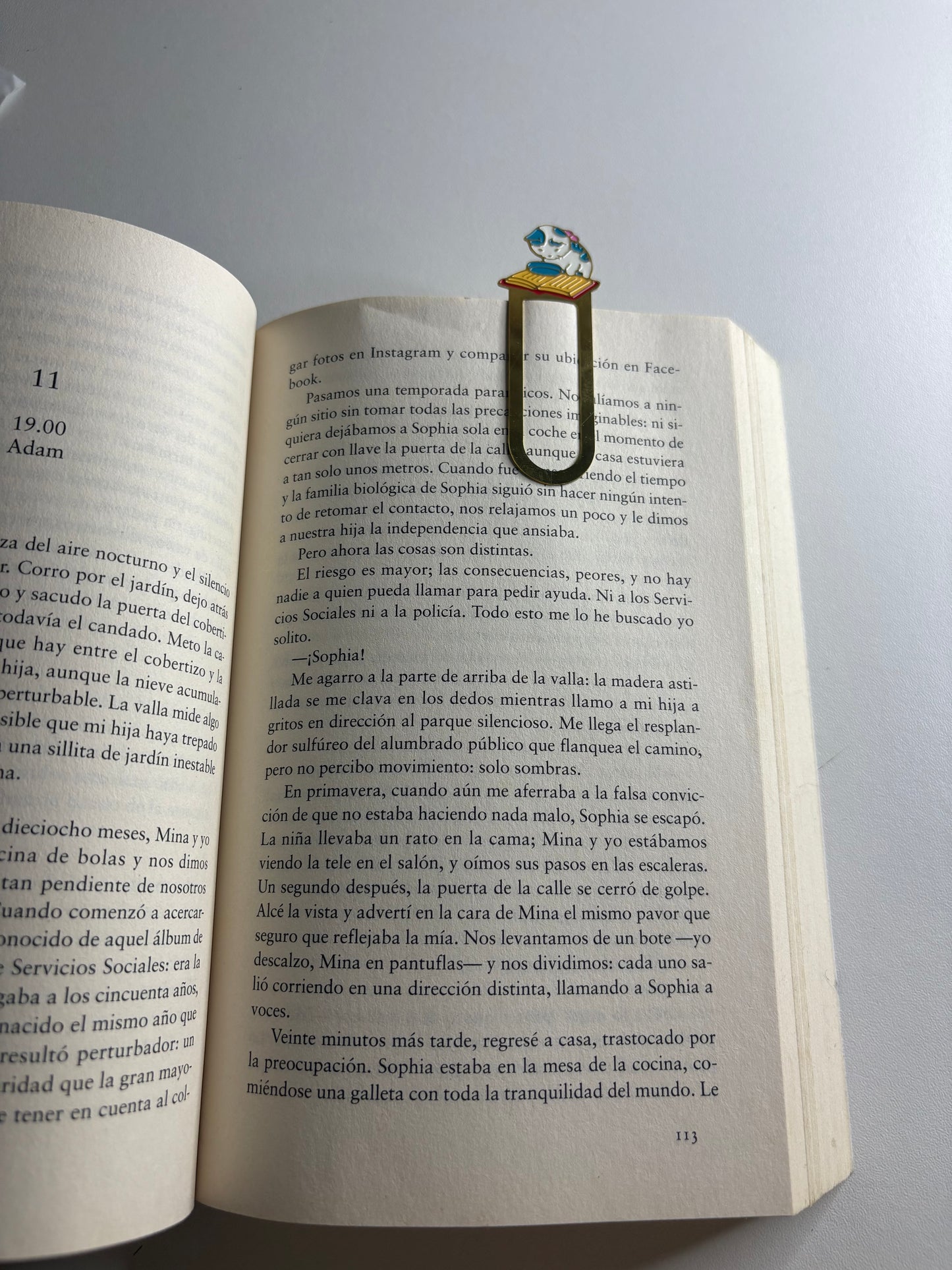 Separador de libros