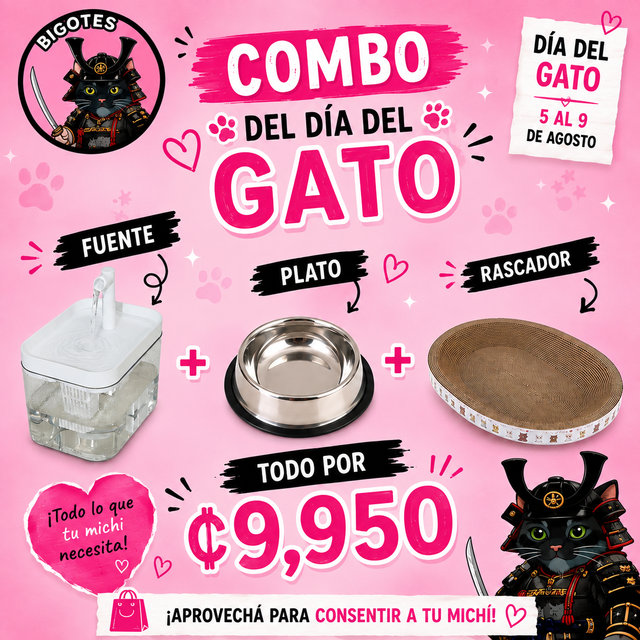 Combo día del gato