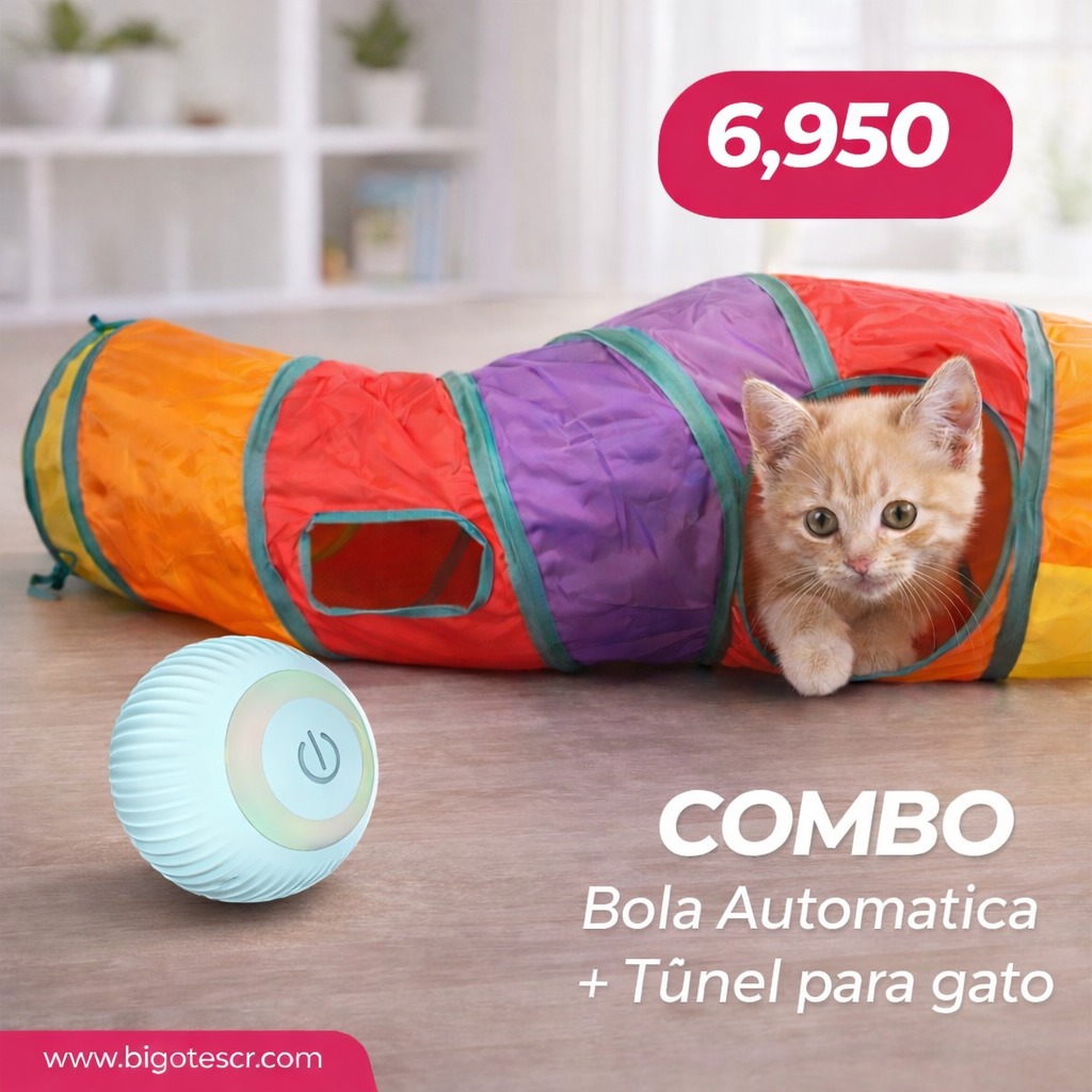 Combo bolita + túnel