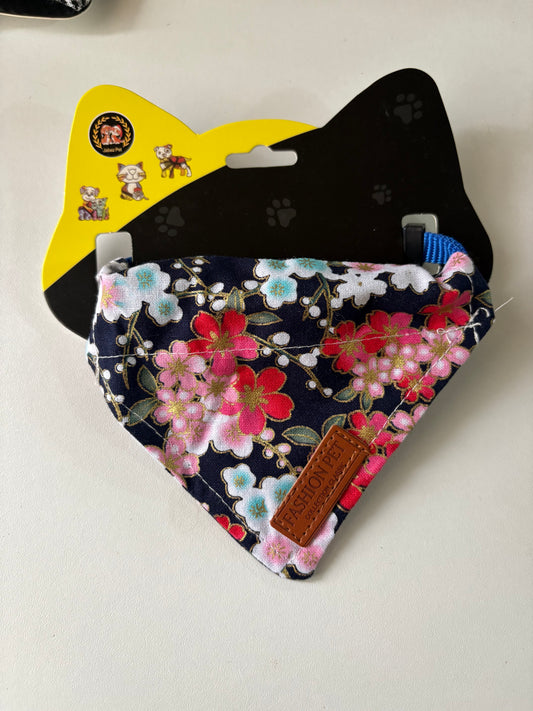 Collar para gato
