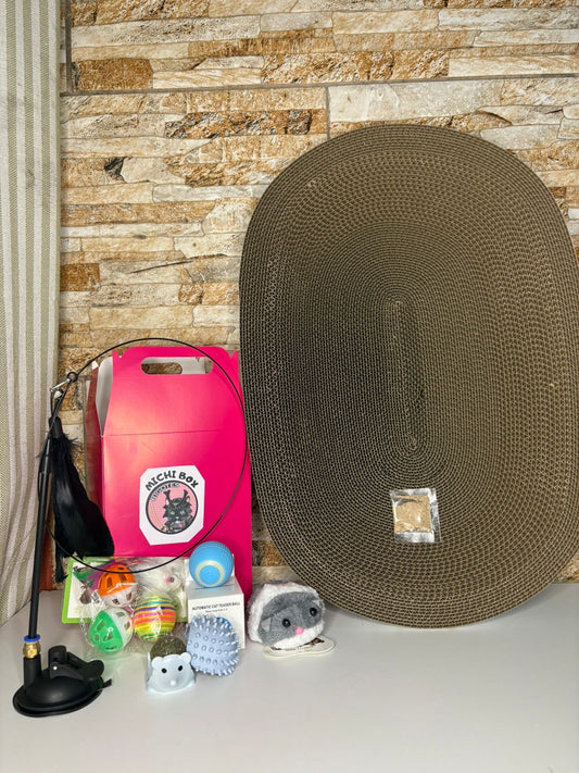 Michi Box y rascador XL