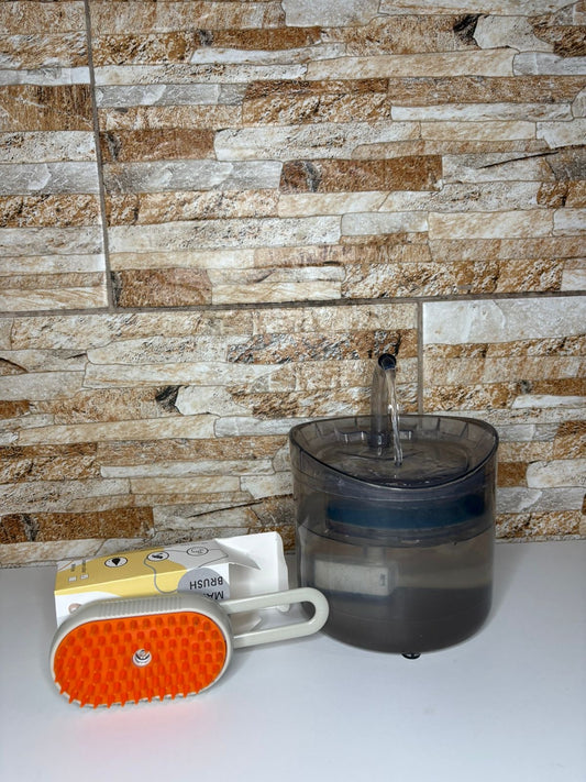 Fuente y cepillo a vapor