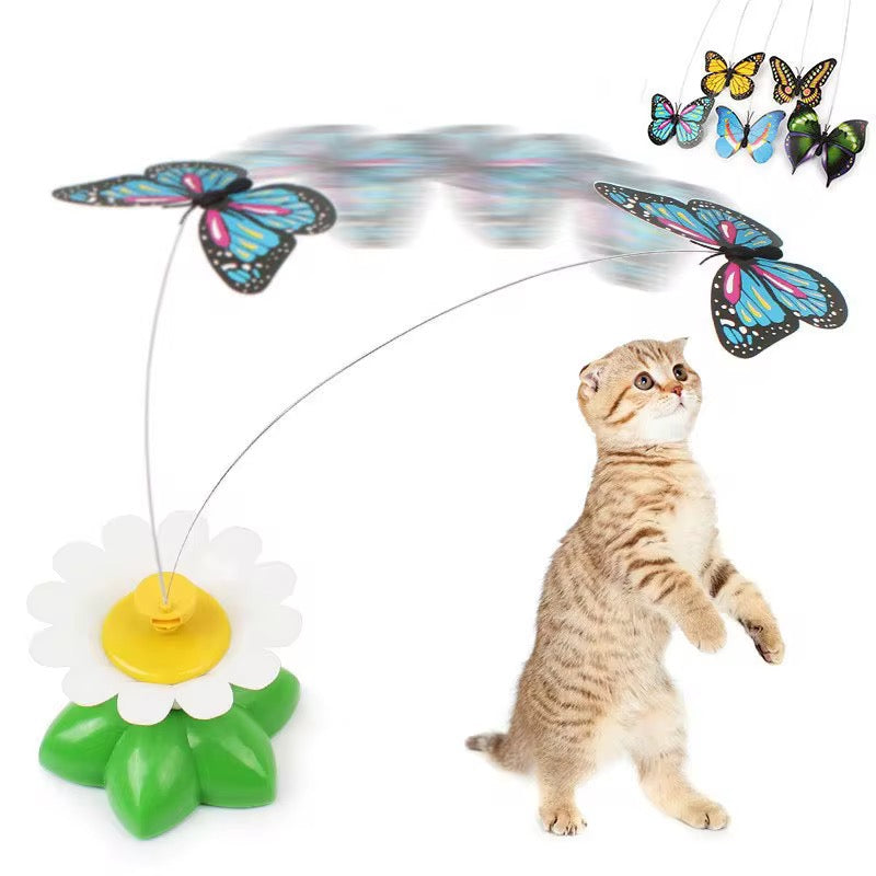 Mariposa voladora
