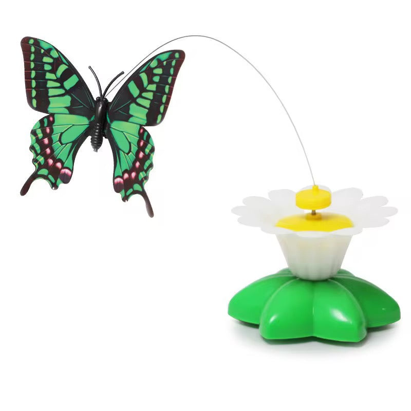 Mariposa voladora