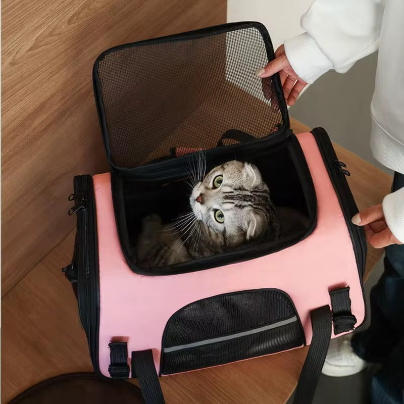 Transportadora para gato
