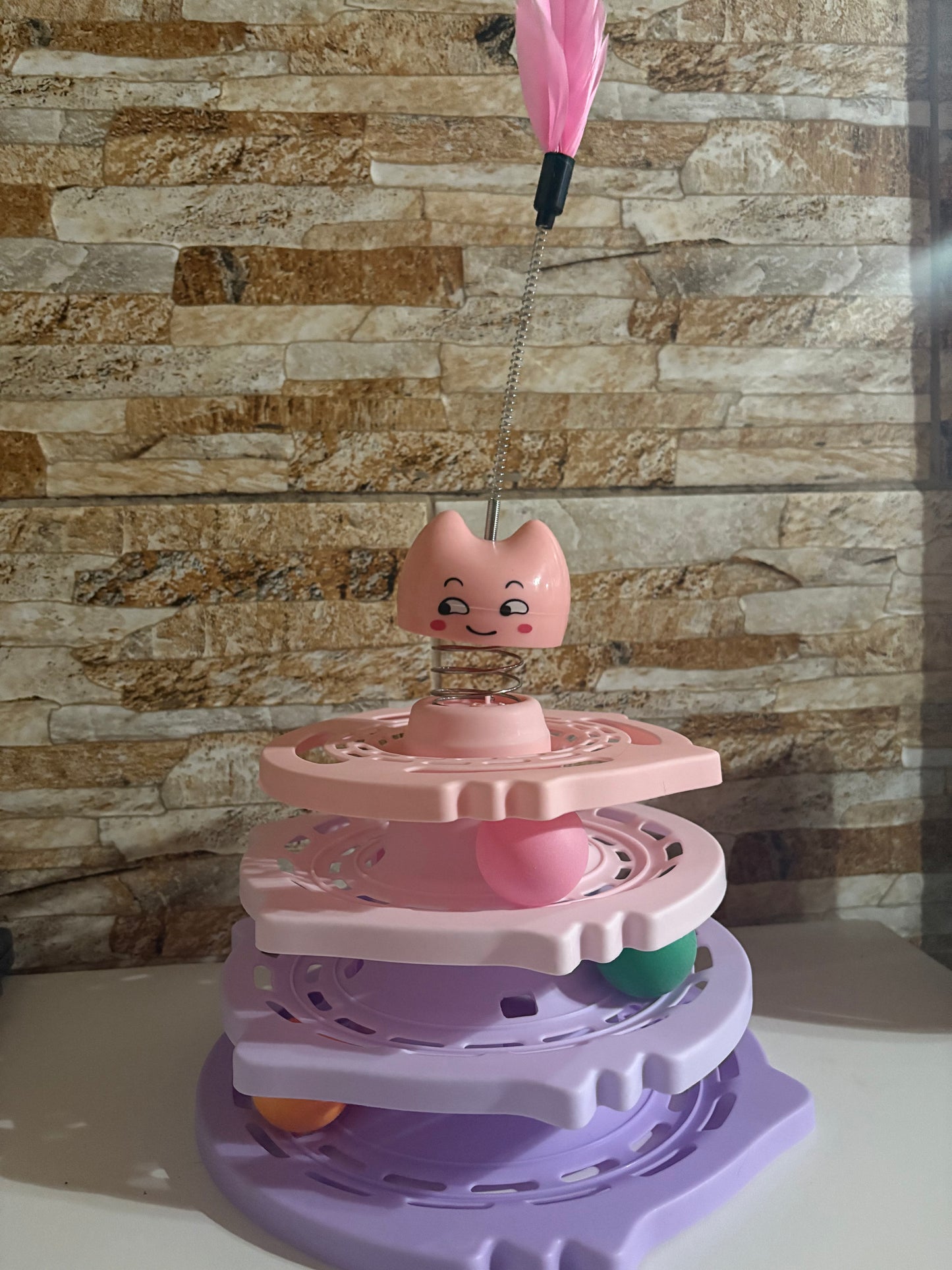Combo día del gato