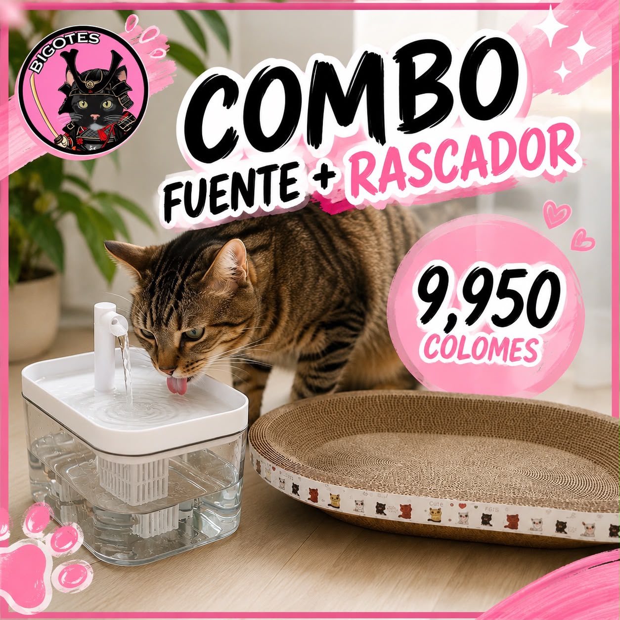Combo rascador y fuente
