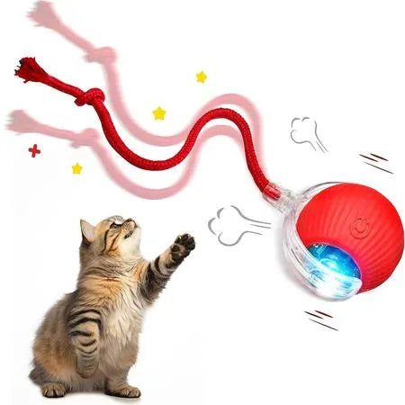 Bolita Automática Interactiva
