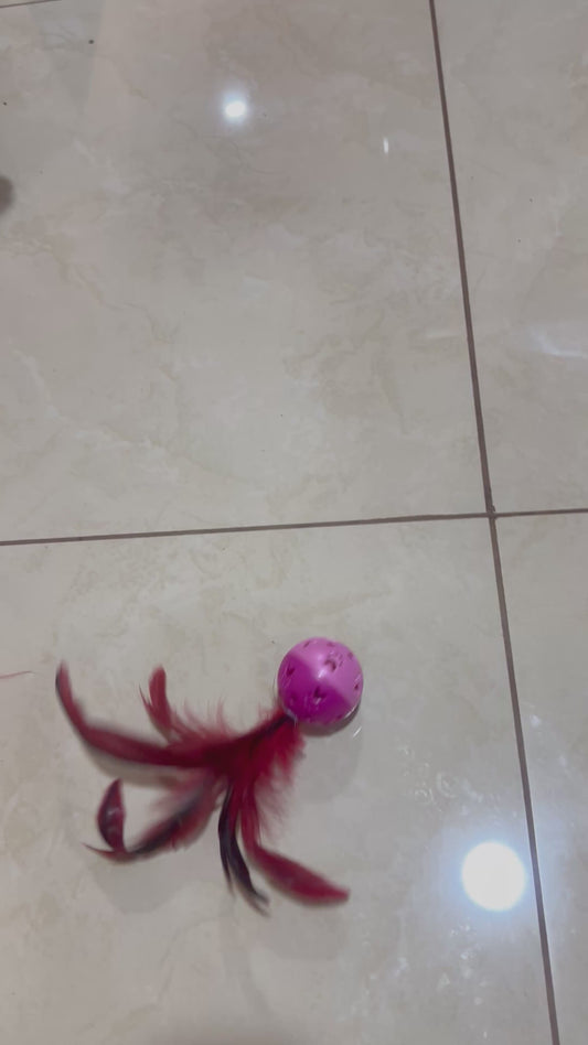 Bolita con pluma