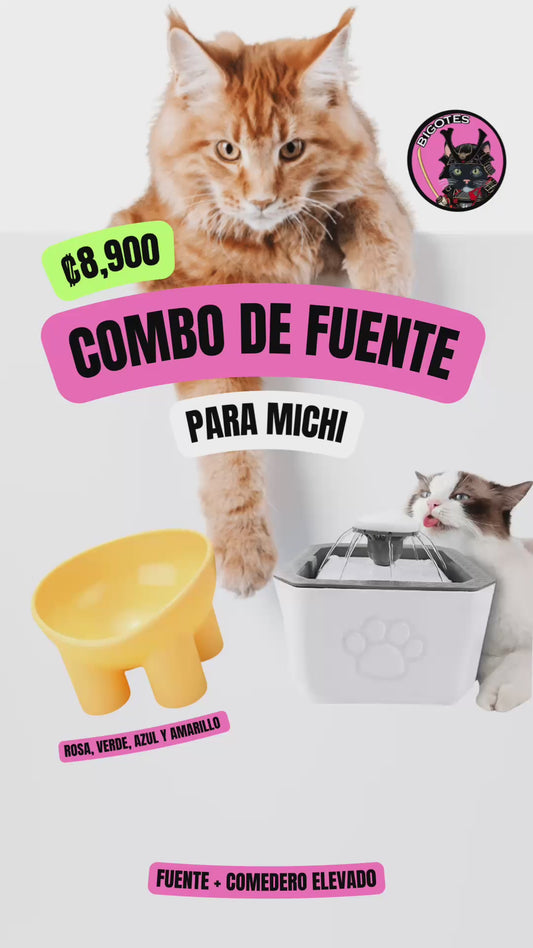 Combo de fuente