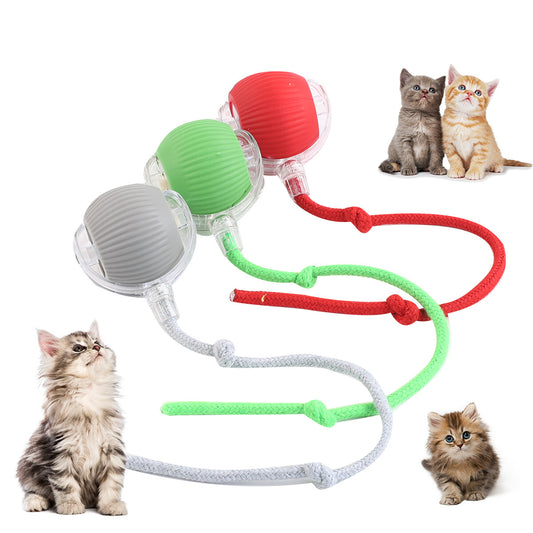 Bolita Automática Interactiva